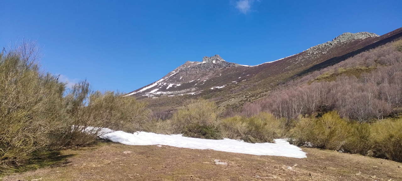 WhatsApp Image 2026-03-23 at 08.13.59 (3)